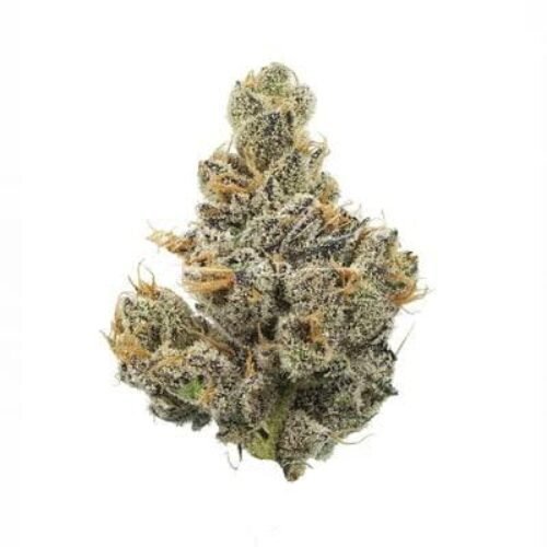 Apple crumble strain