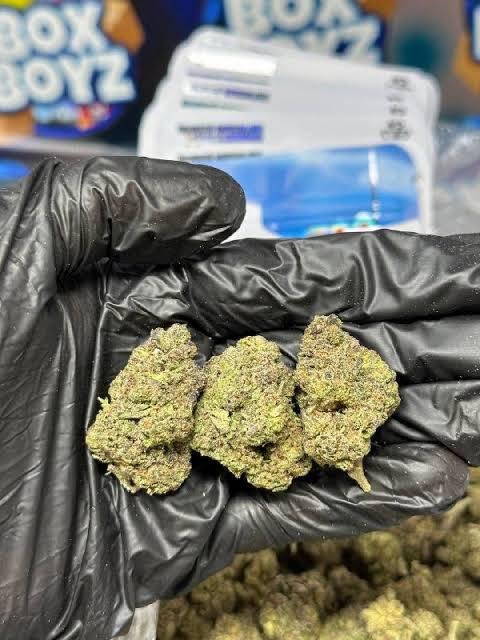 cherry candy strain